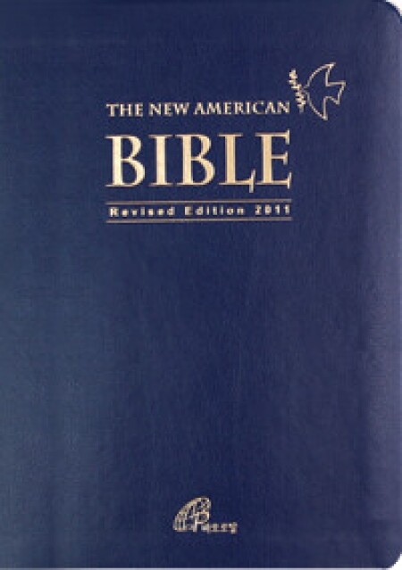 THE NEW AMERICAN BIBLE (대) /바오로딸