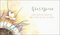 [상본] 축하드립니다 / 5매 (592320) / ssp