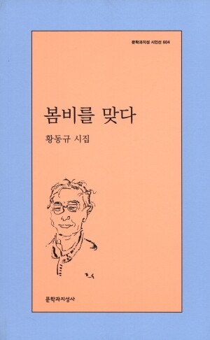 봄비를 맞다 / 문학과지성사